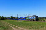 193 269-8 (ELL / SP) mit einem leeren Autotransportzug in Elze, 28. Mai 2026