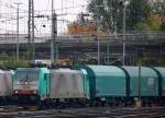 Die Cobra 2804 kommt aus Richtung Köln,Aachen-Hbf,Aachen-Schanz  mit einem Kurzen Coilzug aus  Köln-Gremberg(D) nach  Kinkempois(B) und fährt in Aachen-West ein.