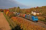 Am 25.10.2015 fuhr Alpha Trains/Railtraxx 185 515-4 mit einem Containerzgu aus Belgien/Aachen West südlich von Müllheim (Baden) gen Schweizer Grenze.