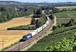 Containerzug mit 193 609-5 (X4 E - 609 | Siemens Vectron) unterwegs bei Nordheim (Württemberg) Richtung Heilbronn Gbf.