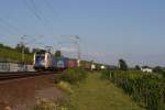 ES 64 U2-60 mit einem Containerzug in Erbach (Rheingau) am 03.09.2011