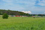 193 881 Boxxpress mit einem Containerzug bei Oberdachstetten Richtung Würzburg, 26.06.2021
