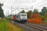 Mit einem Containerzug am Haken rollte 386 010 von Metrans am 12.10.25 vorbei am herbstlich gefärbtem Farn in Wittenberg-Labetz Richtung Falkenberg(E).