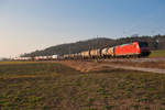 185 055 mit einem gemischten Güterzug bei Mitteldachstetten Richtung Ansbach, 24.01.2020