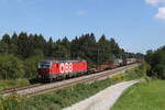 1293 060 mit einem gemischten Güterzug aus Salzburg kommend am 30. August 2022 bei Grabenstätt im Chiemgau.