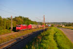 185 192 DB Cargo mit einem gemischten Güterzug bei Winterhausen Richtung Ansbach, 03.09.2021