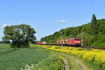 DB 185 018 mit EZ 51173 (Seelze Ost-Bebra Rbf) am 14.05.2024 zwischen Northeim und Nörten-Hardenberg