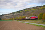 187 082 DB Cargo mit einem gemischten Güterzug bei Thüngersheim Richtung Würzburg, 23.10.2021