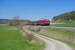 187 184 DB Cargo mit einem gemischten G�terzug bei Lehrberg Richtung Ansbach, 20.04.2022