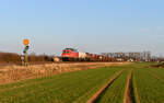 Aufgrund von Bauarbeiten auf der Halle-Kasseler-Eisenbahn, wurde im Februar und M�rz 2026 ein DB Cargo Zugpaar �ber die S�dharzstrecke umgeleitet. Am 3.M�rz bef�hrt 232 609 mit EZ 52198 Nordhausen - Bebra Rbf die Strecke und passiert gerade das n�rdliche Evsig von Wulften. 