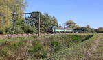 Lineas 2134 und 2149 kommen mit einem Brammen-Zug aus Richtung Hasselt(B) und fährt durch Lummen-Linkhout(B) in Richtung Antwerpen(B).