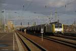 Nachschuss auf ITL Dispolok ES 64 F4 - 203 ( E 189 203 )
Vorn zieht ITL Taurus 1116 235-1den Transcereales - Zug.
Bahnhof Berlin Schnefeld Flughafen
15.11.2009
