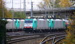 Zwei Cobra 2817 und 2827 kommen aus Richtung Köln,Aachen-Hbf,Aachen-Schanz mit einem Güterzug aus Ludwigshafen-BASF(D) nach Antwerpen-BASF(B) und fahren in Aachen-West ein.