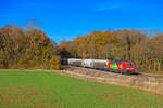 193 357 DB Cargo  Das ist grün  mit einem Staubgutzug bei Steinach bei Rothenburg Richtung Ansbach, 09.11.2021
