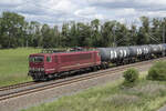 Am 07.06.2026 konnte 155 137 mit einem Leerzug aus Rostock, nach Ingolstadt bei Trebbin abgelichtet werden. Gegenw�rtig ist die Baureihe 155 im Besitz der 1435-Rail (EVU)