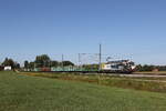 6193 591 von  LOKO TRAIN  war mit einem Holzzug am 13.
