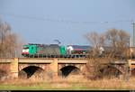 186 225 (Lok 2833) der Cobra im Auftrag der Crossrail AG als Silozug fährt in der Saaleaue bei Angersdorf auf der Bahnstrecke Halle–Hann.