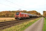 Deutschland, Bösinghoven
Lok 2159 243 von DBCargo schleppt eine Tankerzug
6/11/2025