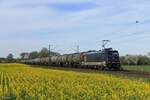 185 574-1 (Beacon Rail) mit einem Kesselzug in Meerbusch B�singhoven, 8. April 2026