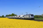 187 076-5 (RheinCargo) mit einem Silozug in Meerbusch B�singhoven, 23. April 2026