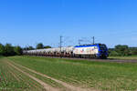 159 445-4 (HLG) mit einem leeren Laugenzug in Elze, 28. Mai 2026
