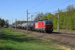 Am 01.05.26 schleppte 1293 197 einen Kesselwagenzug durch Burgkemnitz Richtung Wittenberg.