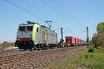Mit einem KLV nach Italien fuhr am 05.05.2016 die Re 486 501  Beura Cardezza  bei Scherzingen auf der Rheintalbahn in Richtung Basel.
