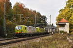 193 551  Zwei Pole mit enormer Zugkraft  und eine  Resonsibility Driven  Schwester bespannen am 20. Oktober 2018 einen Klv-Zug. Aufgenommen in Aßling Fahrtrichtung Rosenheim.