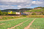 193 558 TXL  Natural Talent  mit einem KLV-Zug bei Himmelstadt Richtung Würzburg, 18.09.2019