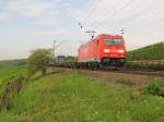 RAILION DB Logistics 185 257-3 mit dem TEC 43901 von Neuss Gbf nach Wien Nordwestbahnhof, bei Erbach (Rheingau); 02.09.2011