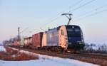 Die Wiener Lokalbahnen Cargo Lokomotive 1216 952 fährt in Langenisarhofen mit einem KLV Zug im letzten Abendlicht vorüber.Bild vom 19.1.2017