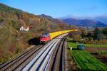 233 662 DB Cargo mit dem KT 45398 (Michalovce - Haerkingen Post) bei Hersbruck rechts der Pegnitz Richtung Nürnberg, 09.11.2020