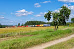 761 005 Metrans mit einem Containerzug bei Marktleuthen Richtung Marktredwitz, 21.07.2021