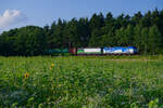 1193 980 WLC und 193 760 ELL/WLC mit einem Containerzug bei Postbauer-Heng Richtung Regensburg, 28.07.2021