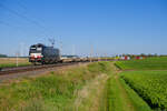 193 860 MRCE/Boxxpress mit einem Containerzug bei Gollhofen Richtung Ansbach, 03.09.2021