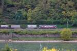 193 452-0 (SBB Cargo International) mit einem Containerzug am Rhein zwischen Bacharach und Oberwesel, 22.