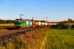 193 251 ELL/WLC mit einem Containerzug bei Batzhausen Richtung Nürnberg, 10.10.2021