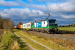 193 251 ELL/WLC mit einem Containerzug bei Postbauer-Heng Richtung Regensburg, 14.11.2021