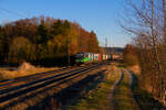 193 238 ELL/WLC mit einem Containerzug bei Postbauer-Heng Richtung Nürnberg, 07.03.2022