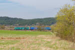 Lokportrait von 248 007 Siemens/e.g.o.o mit dem Tchibo Containerzug bei P�lling Richtung N�rnberg, 14.04.2022