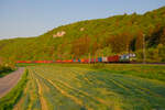 193 237 ELL/WLC mit einem Containerzug bei Dollnstein Richtung Treuchtlingen, 09.05.2022
