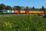 Ell / Wiener Lokalbahnen 6193 238 zieht Container in Richtung München bei Eglharting am 26.09.26.