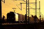CD Cargo 388 034-1 kommt mit den ersten morgendlichen Sonnenstrahlen mit einem Containerzug am Fotopunkt in Dedensen-G�mmer vorbei 22.10.2026