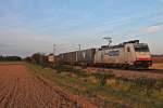 Am späten Nachmittag des 31.10.2014 fuhr Crossrail 185 581-6  Celine Alia/Ewals Cargo Care  mit einem bunten Containerzug südlich von Buggingen in Richtung Müllheim (Baden).