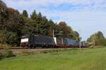 189 910-3 (MRCE ES 64 F4 - 010 / vmtl.