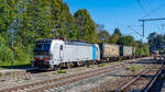91 80 6193 113 mit einem KLV-Zug am 07.09.2024 in Aßling.