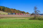 193 654 MRCE mit einem KLV-Zug bei Oberdachstetten Richtung Würzburg, 24.10.2021