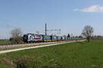 6193 134 von  DPB  mit einem  WALTER-KLV  aus Salzburg kommend am 17. April 2026 bei �bersee am Chiemsee.