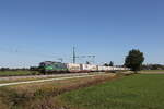 6193 258 war mit einem  EKOL-KLV  am 28. September 2026 bei �bersee am Chiemsee in Richtung M�nchen unterwegs.