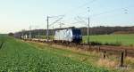 152 137-6 zieht am 20.11.09 den IKE 50258 Hamburg-Billwerder Ubf - L�beck-Skandinavienkai durch die herbstliche Feldlandschaft kurz vor Reinfeld (Holst.) Richtung L�beck.